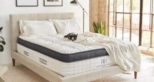 brentwood home eco-friendly mattresses on elemental green