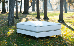 my green mattress eco-friendly mattresses for every budget on elemental green