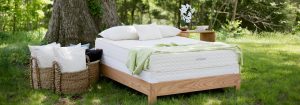 savvy rest eco-friendly mattresses for every budget on elemental green