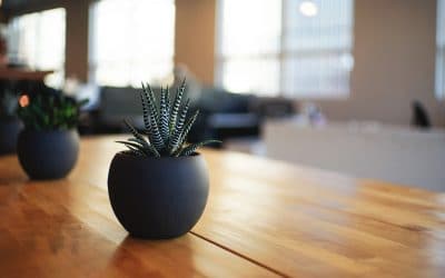 What is GREENGUARD Certification?