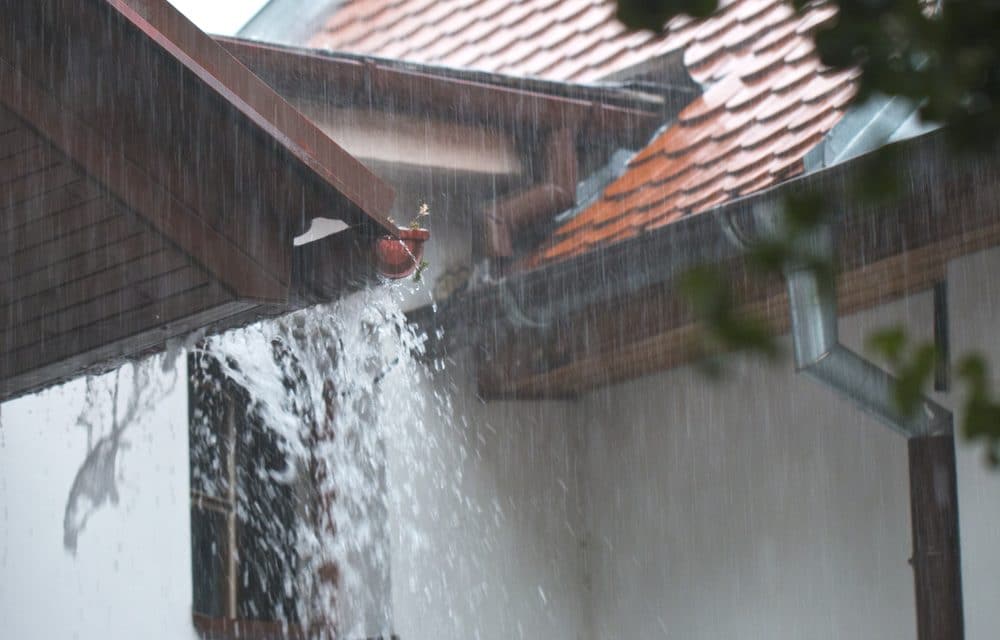 Rain Capture With A Bilge Pump