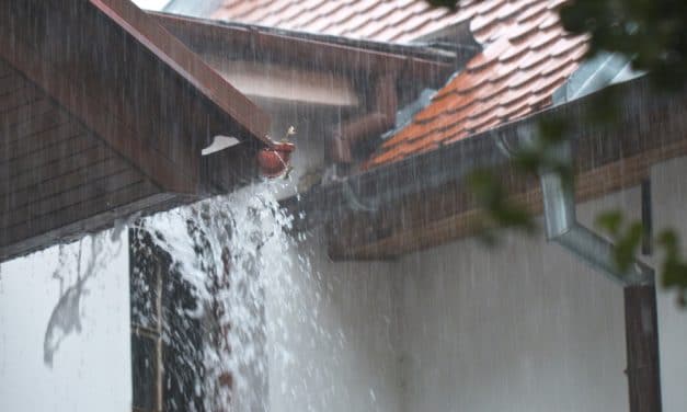 Rain Capture With A Bilge Pump