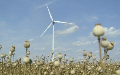 Residential Wind Power: An Efficient & Economical Renewable Energy Choice