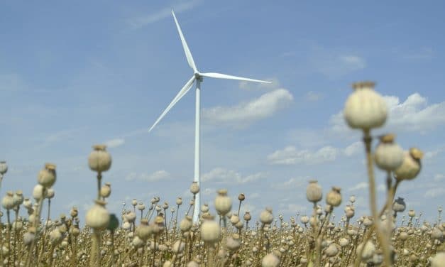 Residential Wind Power: An Efficient & Economical Renewable Energy Choice