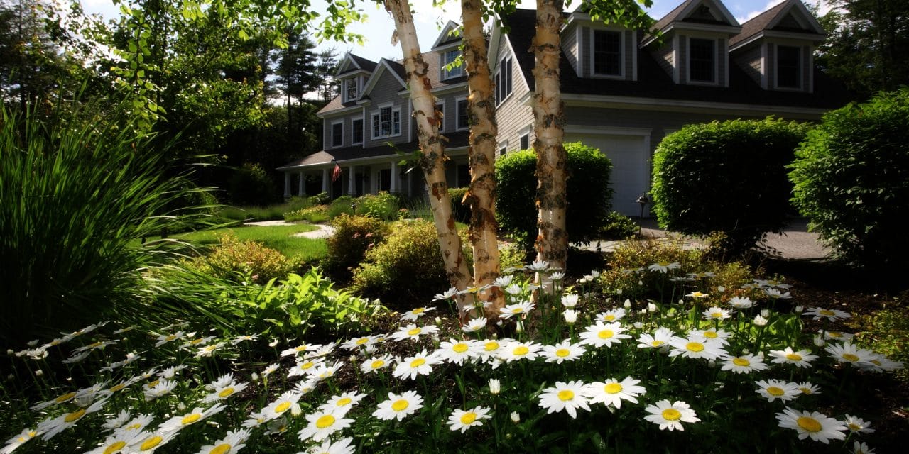 How to Make Your Yard More Sustainable