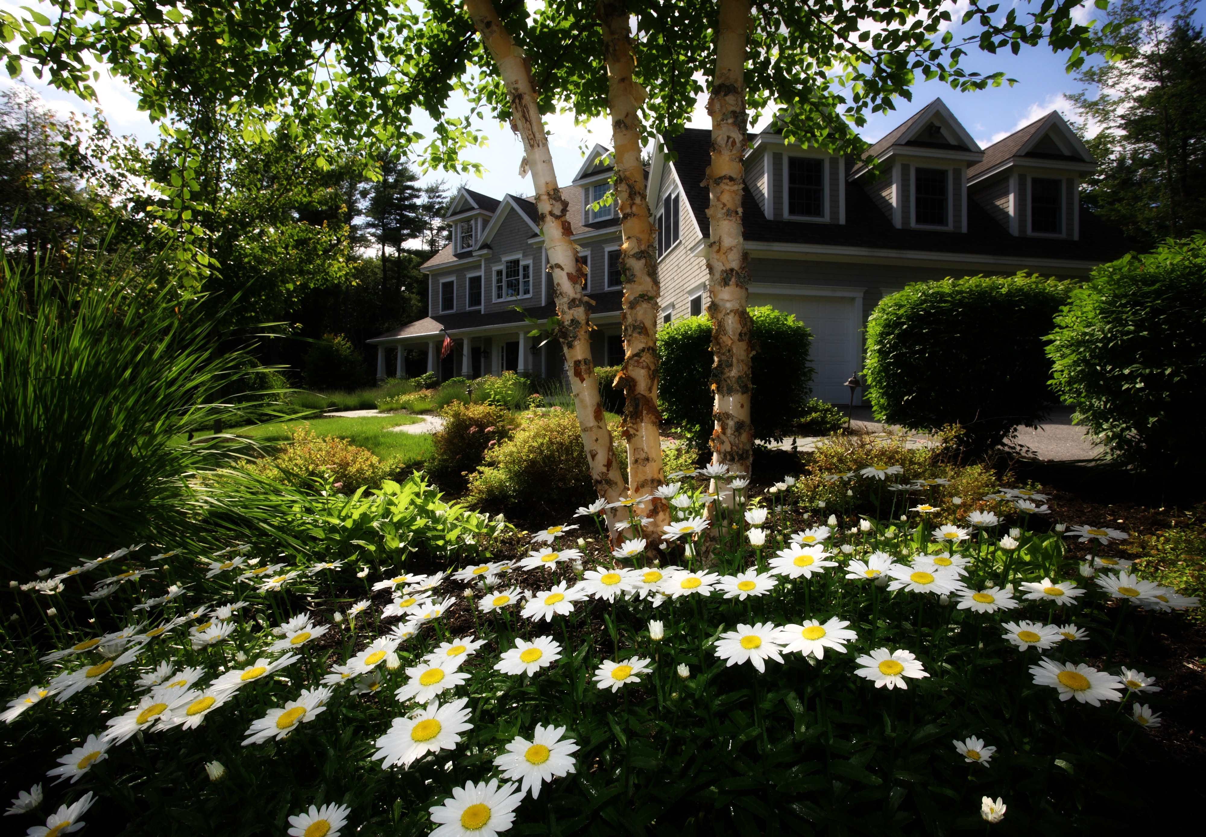 Дом в цветущем саду. Ромашки в ландшафте. Дом в саду. Цветы перед домом. Красивый сад.