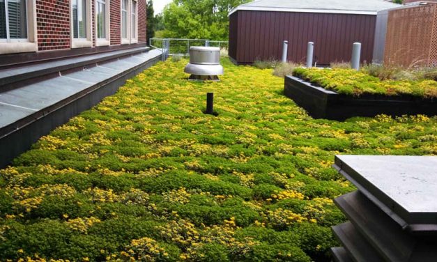 Eco-Roofs Green Roof Systems