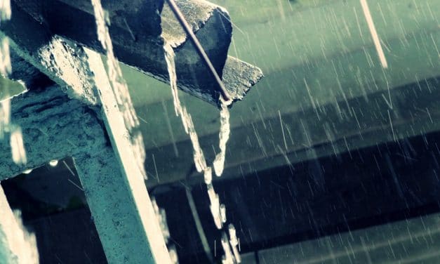 10 Steps to Rain Harvesting Sustainable Water