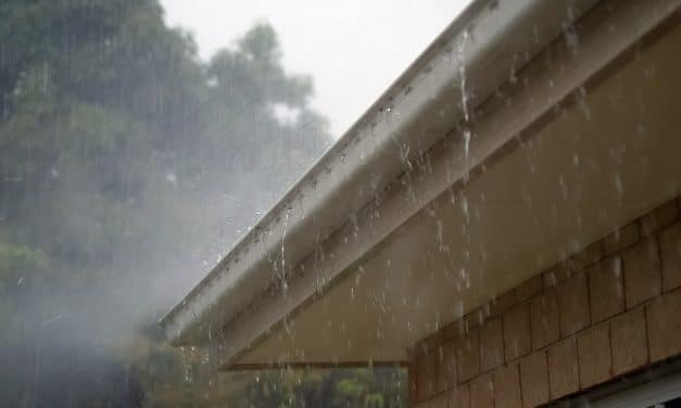 Why Everyone Should Care About Rainwater Harvesting [Infographic]