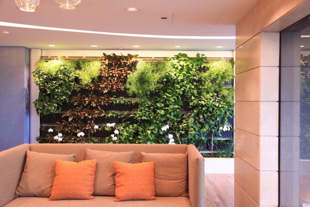 living walls for houses