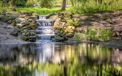 Natural Swimming Pools vs. Swimming Ponds [Infographic]