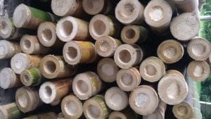 Photo of bamboo rods for GRASSBuilt materials - bamboo engineered materials on Elemental Green