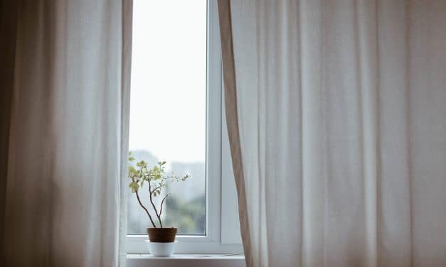 6 Unsettling Facts About the Indoor Air Quality in Your Home