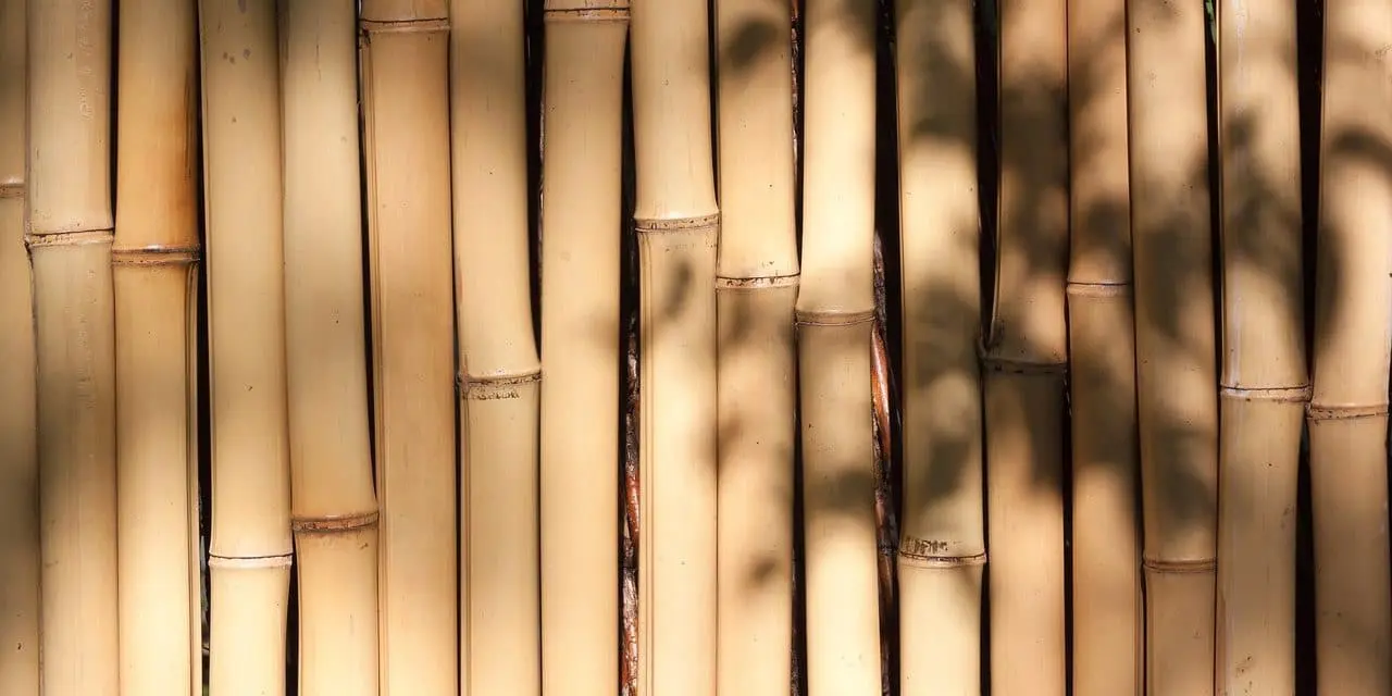 The Pros and Cons of Bamboo in Green Building