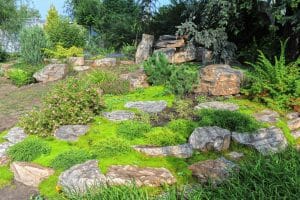 low-maintenance lawn alternatives on elemental green