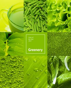 collage with green color, 17 Trends for Sustainable Homes in 2017 on elemental green