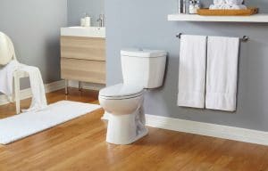 Niagara stealth single flush toilet, 12 Companies Leading the Way With Eco-Friendly House Building Materials on elemental green