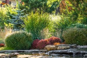 sustainable landscaping trends for sustainable homes on elemental green