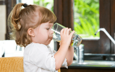 AquaOx Whole House Water Filters
