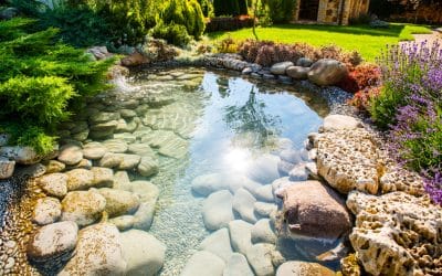 SMART, STYLISH AND SUSTAINABLE: THE TOP 7 LANDSCAPE DESIGN TRENDS FOR 2017
