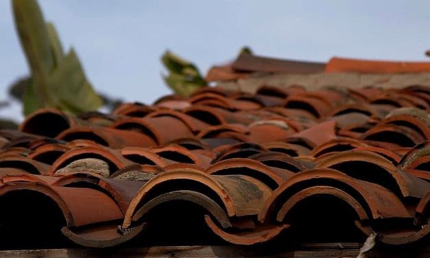 How Your Roof Affects the Environment: Know Before You Buy