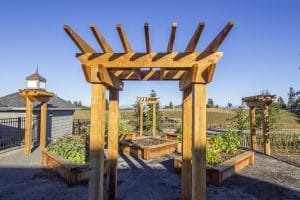 wooden arbors, Sustainable Advantages and Inspirations of Redwood on elemental green
