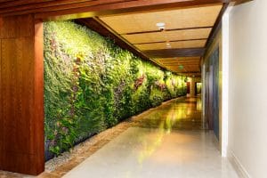 living wall, what is biophilia on elemental green