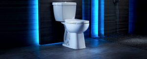 Niagara dual flush toilet, top 10 bath trends given a green makeover on elemental green