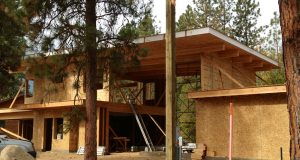 Premier SIPS exterior construction, Premier Sips Eco-Friendly Structural Insulated Panels on elemental green