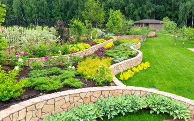 FREE ONLINE GUIDES FOR SUSTAINABLE HOME LANDSCAPE DESIGN