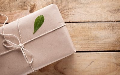 The Greatest Green Gifts for High-Performing Homes
