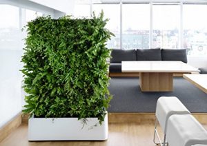 delectable garden living green wall on trends for sustainable homes on elemental green