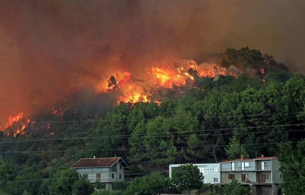 Home Resilience: Protecting Your Home from Wildfires