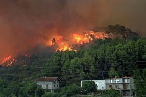 Home Resiliency: Protecting Your Home from Wildfires on elemental green