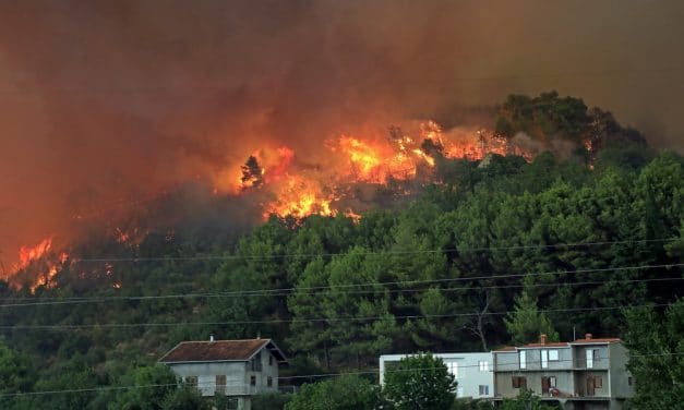 Home Resilience: Protecting Your Home from Wildfires