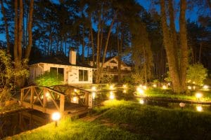 Eco-Friendly Outdoor Lighting Ideas on elemental green