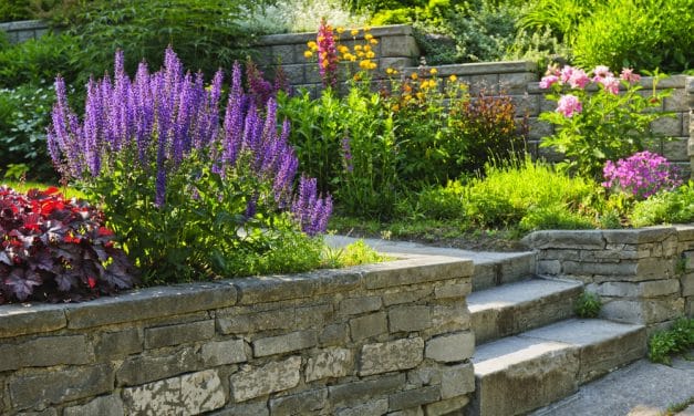 How to Create Eco-Friendly and Sustainable Garden Beds