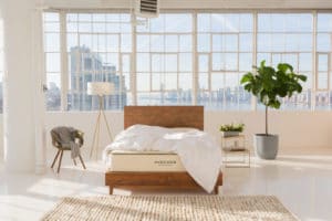 Avocado Mattress on wood bedstead in a bright sunny room; window in rear shows cityscape; white room houses tall plant, floor lamps and natural-looking area rug,