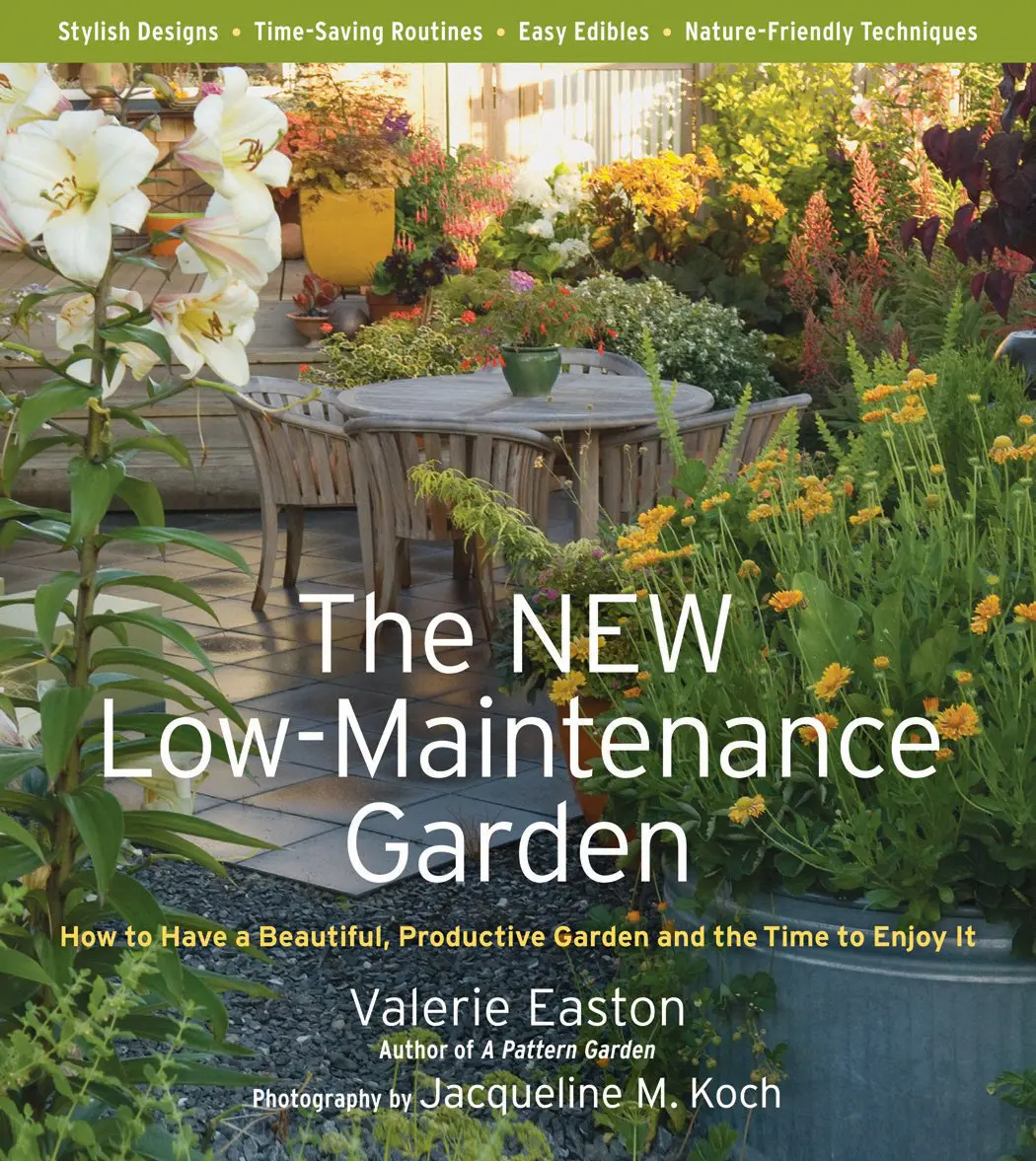 The New Low-Maintenance Garden Low maintenance lawn alternatives for eco-friendly lawns