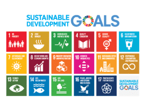 Graphic of the 17 UN SDGs