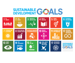 UN SDG Summary of 17 Goals