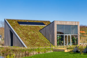 Netherlands Home With Green Roof