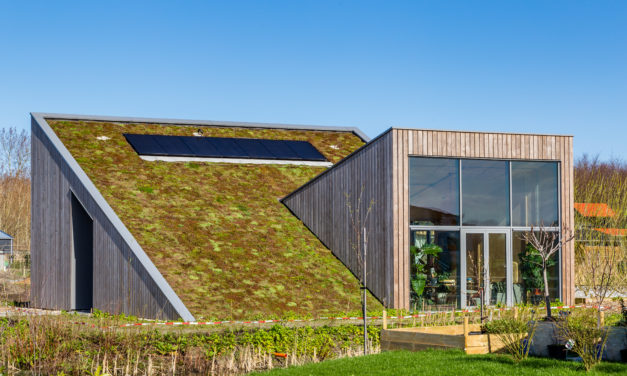 From Carbon Neutral to Carbon Positive: How Your Home Can Give Back to the Planet and You!