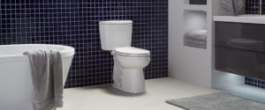 Nano Dual Angle by Niagara, low-flow toilet, Niagara Nano® – 0.5/0.8 GPF Dual Flush Elongated Toilet, Image courtesy of Niagara