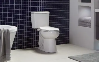 Everything You Need to Know About Low-Flow Toilets, And Which Ones To Choose