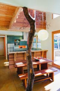 Straw Bale Residence by Arkin Tilt Architects With Tree Through Kitchen