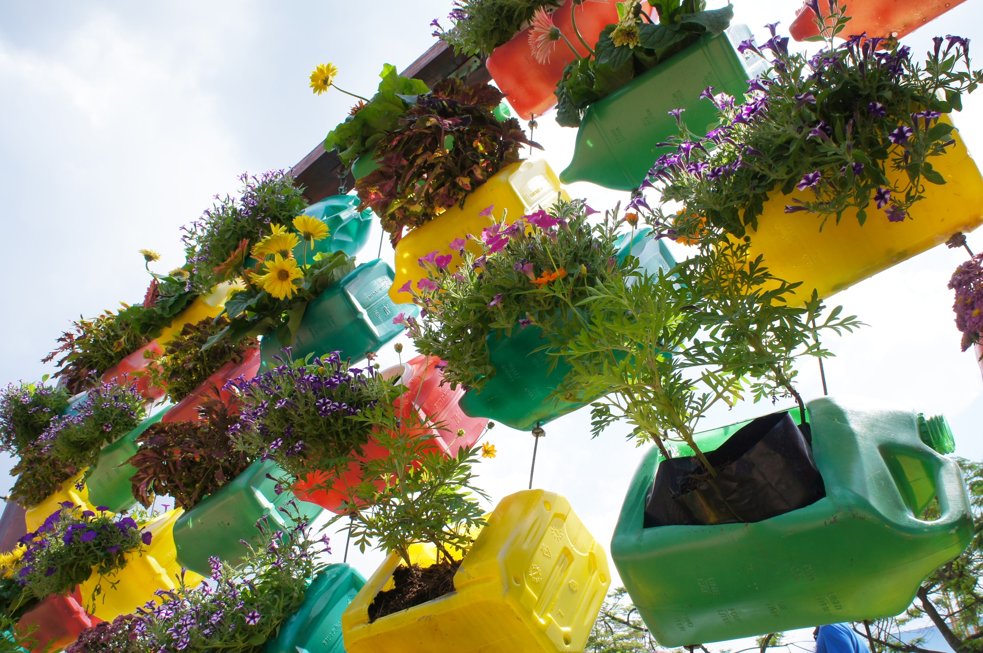 Colorful recycled bottles with hanging plants for landscaping garden