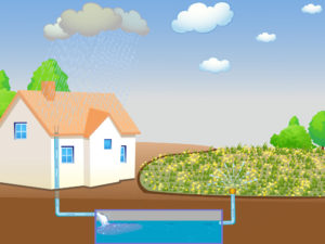 Illustration showing rainwater harvesting