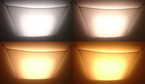 LED light bulbs come in differnt colors of white light