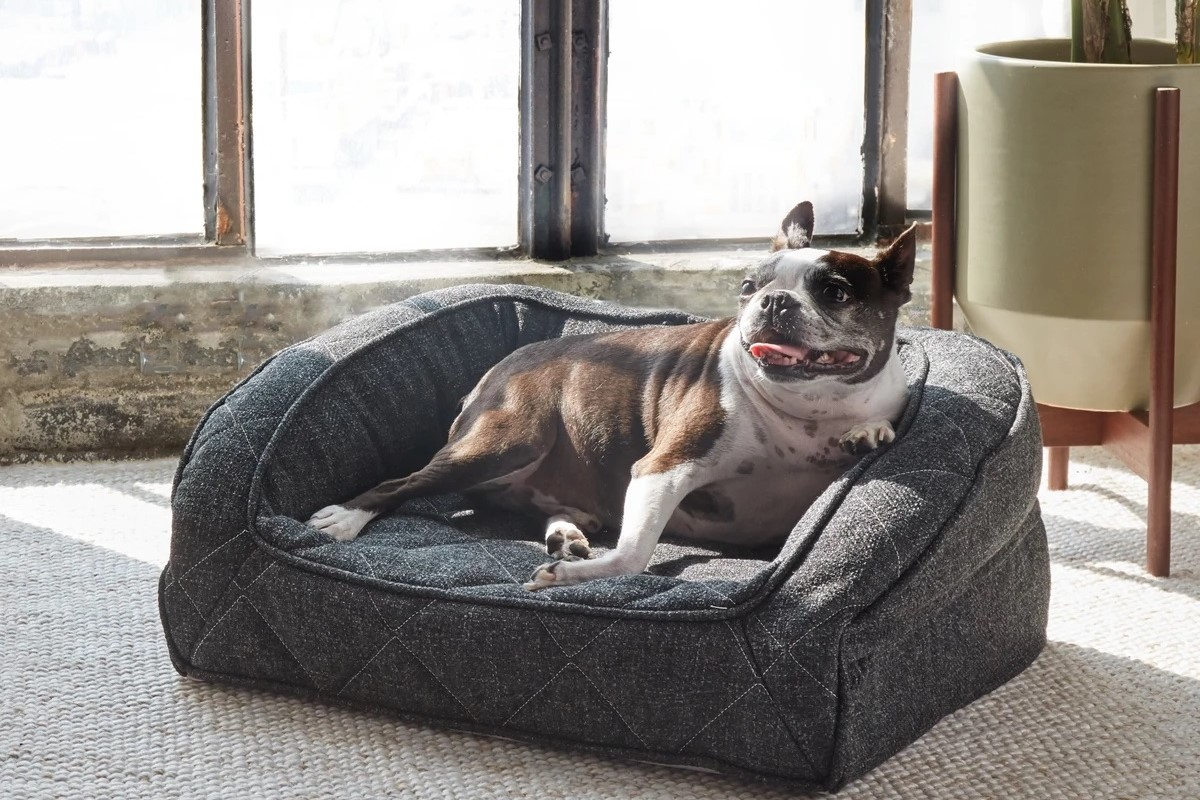 Supportive, Durable and Waterproof Dog Bed from Brentwood Home